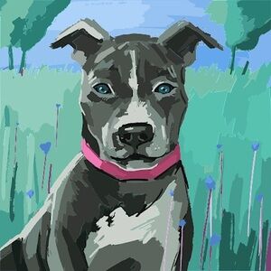 Meet your Posher, Shannon